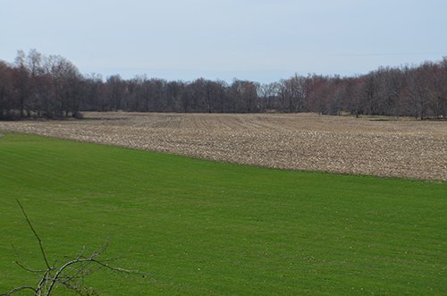 Tract 2 - REAL ESTATE & PERSONAL PROPERTY AUCTION, 140 Acres offered in 8 Tracts or Combinations in Steuben County